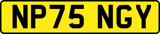 NP75NGY