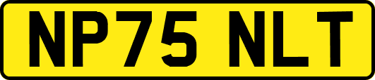 NP75NLT