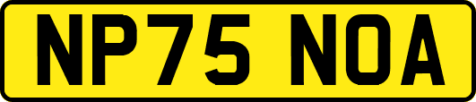 NP75NOA