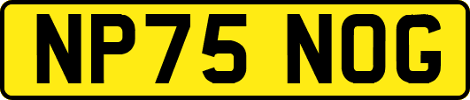 NP75NOG