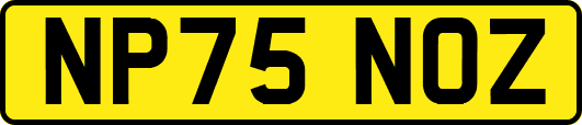 NP75NOZ