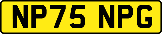 NP75NPG