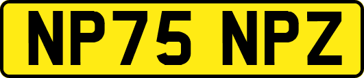 NP75NPZ