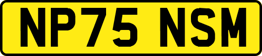 NP75NSM