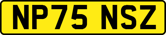 NP75NSZ