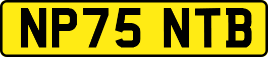 NP75NTB