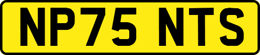 NP75NTS