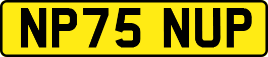 NP75NUP