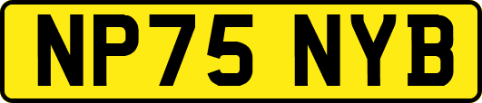 NP75NYB
