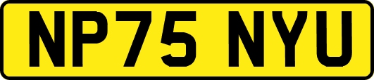 NP75NYU