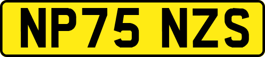 NP75NZS