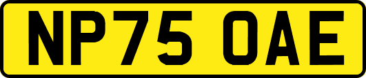 NP75OAE