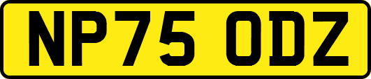 NP75ODZ