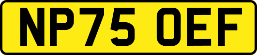 NP75OEF