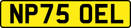 NP75OEL