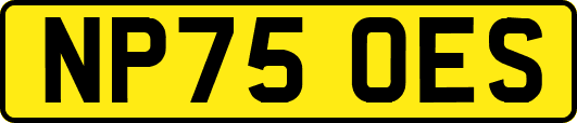 NP75OES