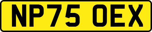 NP75OEX
