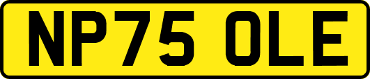 NP75OLE