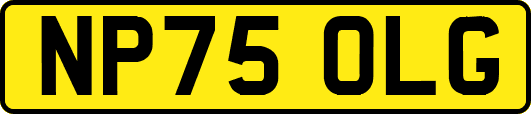 NP75OLG