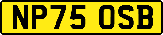 NP75OSB