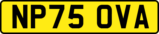 NP75OVA