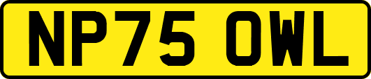 NP75OWL