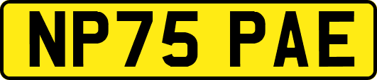 NP75PAE