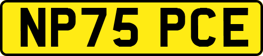 NP75PCE