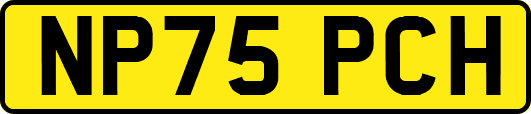 NP75PCH