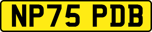 NP75PDB