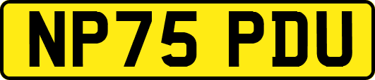 NP75PDU