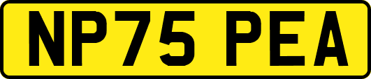 NP75PEA