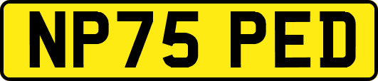 NP75PED