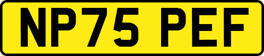 NP75PEF