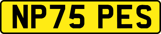 NP75PES
