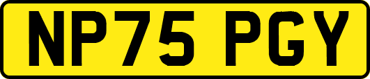 NP75PGY