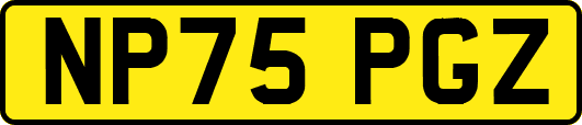 NP75PGZ