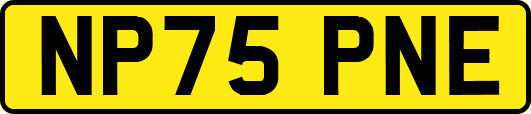 NP75PNE