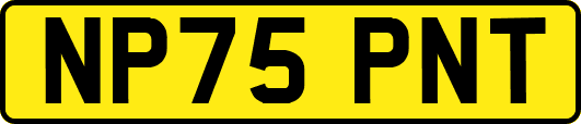 NP75PNT