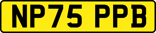 NP75PPB