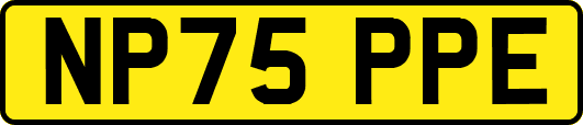 NP75PPE