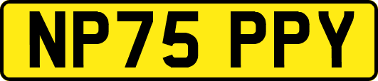 NP75PPY