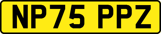 NP75PPZ