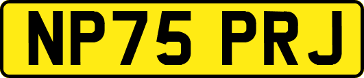 NP75PRJ