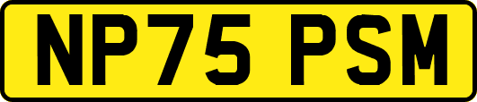 NP75PSM