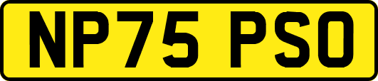 NP75PSO