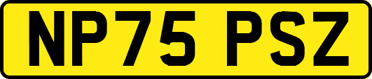 NP75PSZ