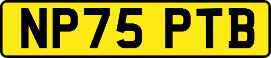 NP75PTB