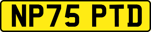 NP75PTD