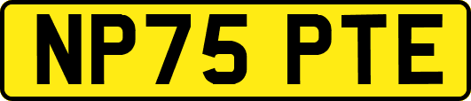 NP75PTE